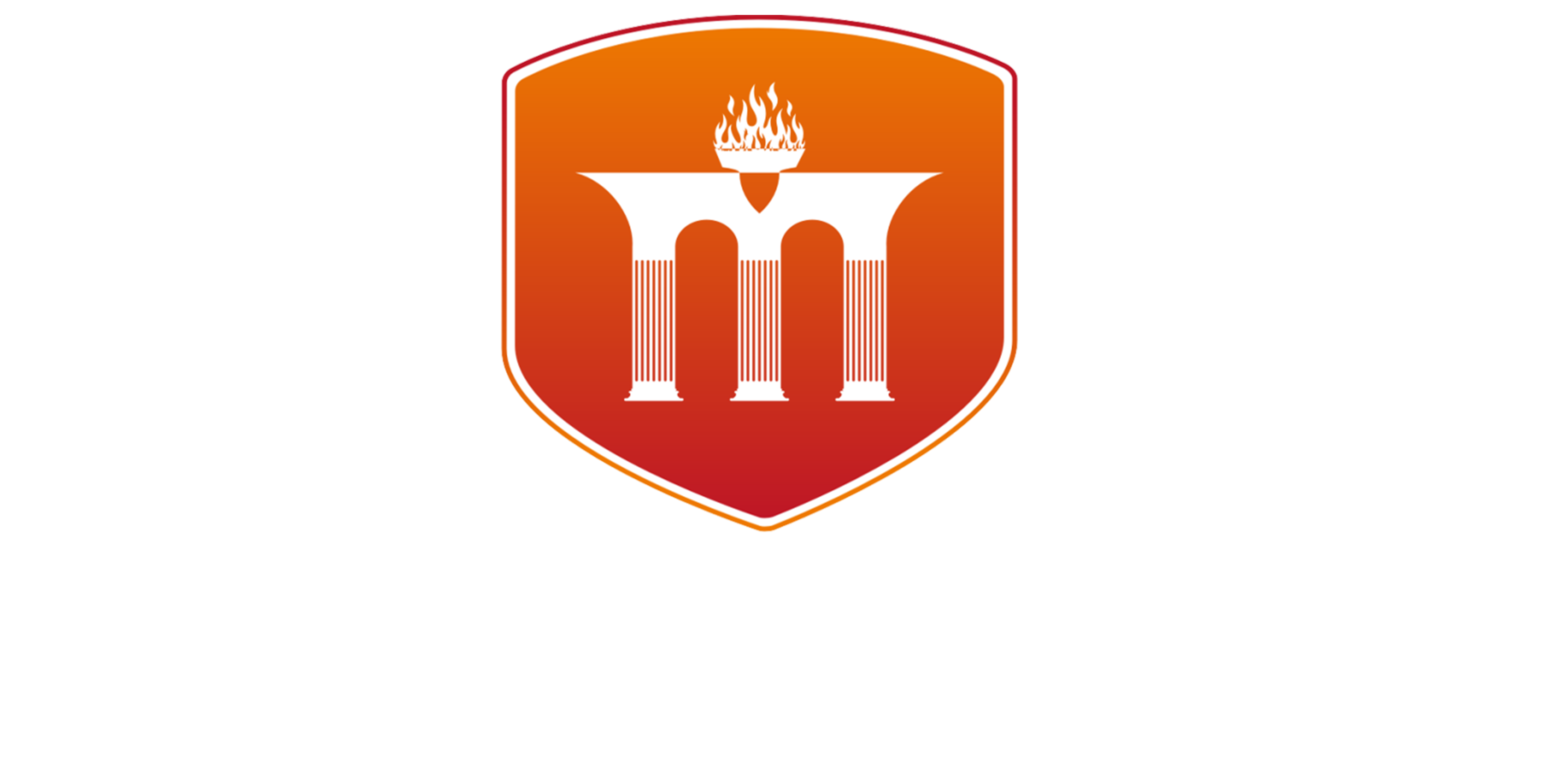 Mandsaur University