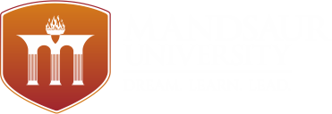 Mandsaur University