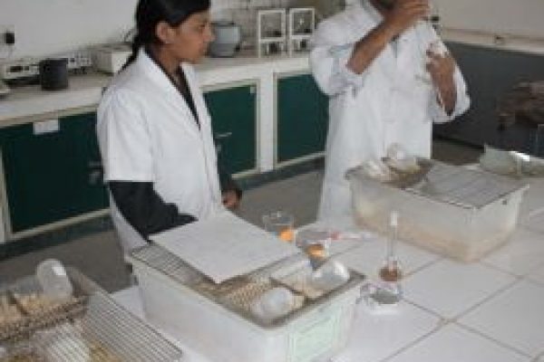 phRMACEUTICAL CHEMISTRY LAB